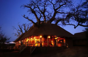 Tarangire Treetops
